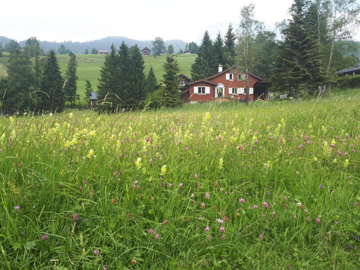 Chic Wildhaus